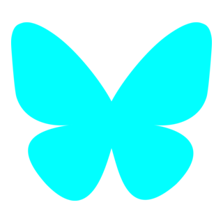/social-media/Bsky-icon.png